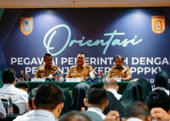 Sekarang PPPK Bisa Duduki Jabatan Struktural
