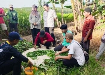 Dinas Pertanian Kabupaten Banjar Lakukan Sosialisasi Penerapan Pupuk Hayati