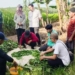 Dinas Pertanian Kabupaten Banjar Lakukan Sosialisasi Penerapan Pupuk Hayati