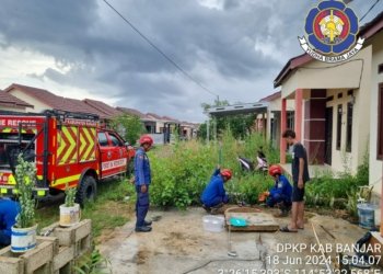 DPKP Kabupaten Banjar Amankan Ular Didalam Sumur Warga