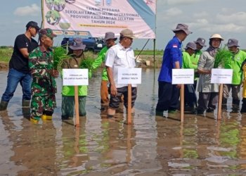 BMKG Bersama Dengan Dinas Pertanian Kabupaten Banjar Lakukan Penanaman Perdana