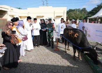 Pj Gubernur Serahkan Hewan Kurban Jokowi Untuk Masyarakat Kaltim