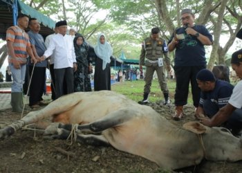 Pemkab Asahan Sembelih 113 Hewan Kurban