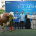 Idul Adha Berbagi, PLN Distribusikan Daging Kurban ke Seluruh Indonesia