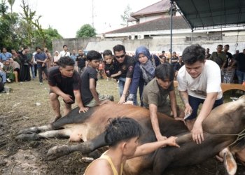 DPC GRIB Jaya Kota Medan Bagikan 5.000 Bungkus Daging Kurban
