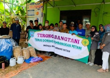 Peternak Sapi Dan Kambing Desa Lok Tangga Karang Intan Dilatih Bikin Pakan Fermentasi Dari Jerami