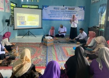Dinsos P3AP2KB Kabupaten Banjar Pembentukan DataKu