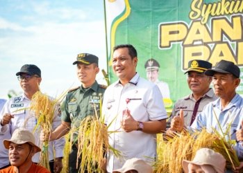 Panen Padi di Handil Kia’i Bangkal, Walikota: Kita Melindungi Para Petani