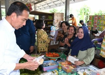 Presiden RI Kunjungi Kalteng, Listrik PLN Hadir Tanpa Kedip