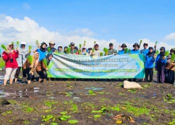 Petani Desa Berkat Mulya Tanam Inpari 32 Bersama BPP Simpang Empat Dan SMKPPN Banjarbaru