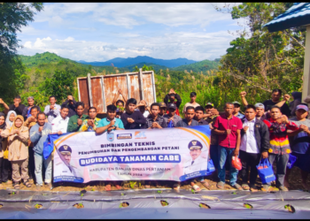 Dinas Pertanian Kabupaten Banjar Gelar Kegiatan Batumbang Manis Di Paramasan