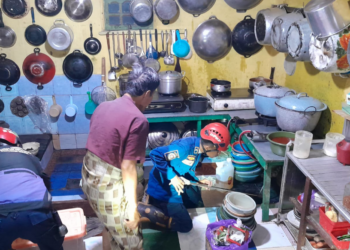 DPKP Kabupaten Banjar Tangkap Ular Kobra Dirumah Warga Gambut