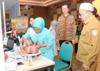 Wakil Bupati Kabupaten Banjar Meninjau Screening Stunting