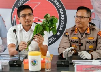 Maraknya Kasus Mabuk Kecubung, Polda Kalsel Ambil Langkah Strategis