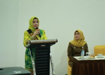 Dinas Perlindungan Perempuan dan Anak Gelar Pelatihan Bagi Satgas PPA