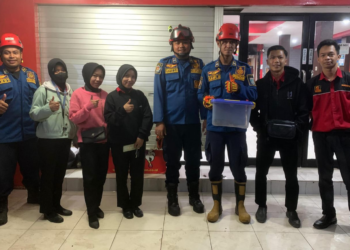 DPKP Kabupaten Banjar Tangkap Ular Phyton Di Gambut