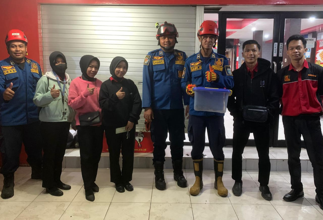 DPKP Kabupaten Banjar Tangkap Ular Phyton Di Gambut