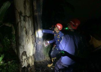 DPKP Kabupaten Banjar Sektor Gambut Tebang Pohon Yang Terbakar
