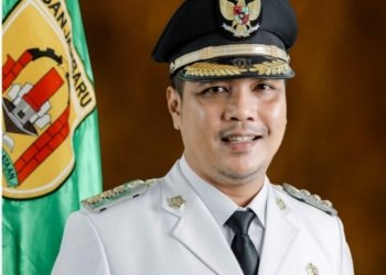 Banyak Faktor Gagalnya Petahana Maju di Pilkada Banjarbaru ? 