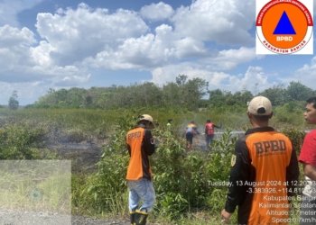 Tim Gabungan Karhutla Berhasil Padamkan Kebakaran Lahan Di Desa Sungai Batang