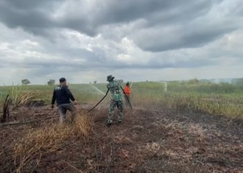 Waspada Karhutla, Semak Belukar di Desa Sungai Batang Terbakar