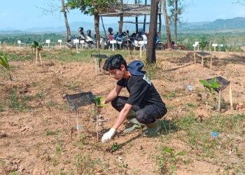 Kolaborasi Bersama Denhubrem, Petani Tanam 4000 Bibit Kopi Liberika