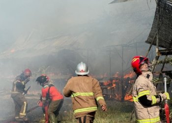 DPKP Kabupaten Banjar Padamkan Kandang Ayam Terbakar Di Cindai Alus, Kerugian Ratusan Juta