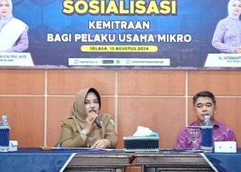 Untuk Kesejahteraan Masyarakat, Pemerintah Kabupaten Banjar Dorong UMKM Berdaya Saing Mandiri