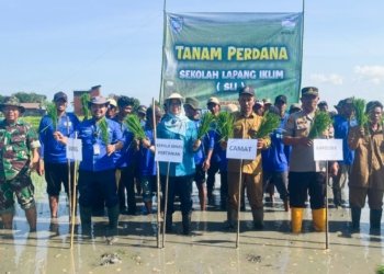 Pertanian Di Kabupaten Banjar Semakin Ditingkatkan