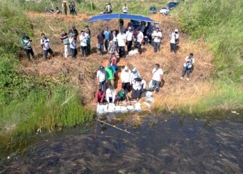 5.000 Restocking Benih Ikan Gurami di Embung Kelurahan Cempaka