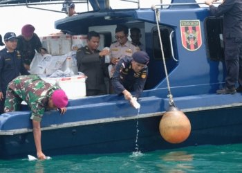 250.000 Benih Lobster Hasil Sitaan Dilepas