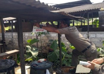 Sudah Diberi Stiker Peringatan, Belasan Peternak Babi Masih Tetap Beroperasi