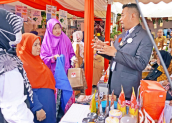 DPMPTSP Kabupaten Banjar Ikut Mini Expo
