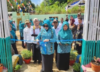 Ketua PKK Kotabaru Pantau Peningkatan Kualitas Keluarga di Desa Pondok Labu