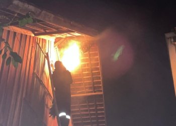 DPKP Kabupaten Banjar Evakuasi Madu Lebah