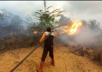 BPBD Kabupaten Banjar Tangani Karhutla