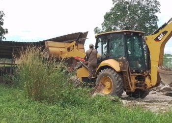 Tegakkan Perda di Kota Banjarbaru, Kandang Babi Di Kawasan Jalan Pandarapan di Eksekusi
