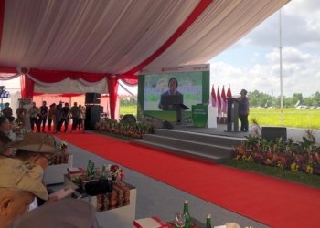 Sejalan Dengan Revolusi Hijau, Menteri LHK Apresiasi PLA Kalsel Yang Terbaik