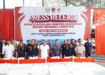 Polri Gagalkan Penyelundupan 237.305 Benih Lobster di Bintan