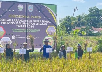 Distan Kabupaten Banjar Sebut SLI Berdampak Positif Bagi Petani