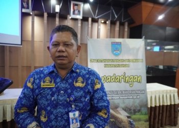 Aplikasi I-Padaringan Untuk Pantau Harga Pangan Di Kabupaten Banjar