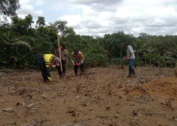 Kapolsek Pengaron dan BPP Gelar Pembukaan Lahan Baru Pertanian Padi di Desa Lumpangi