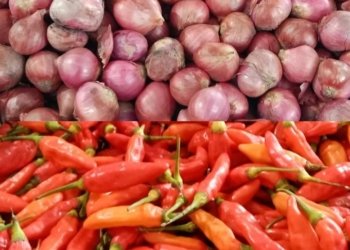 Fluktuasi Harga Pangan: Bawang Merah Dan Cabai Alami Kenaikan