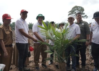 Wakil Bupati Asahan Ikuti Penanaman Perdana Program PSR