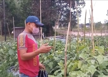 Dukung Asta Cita, Anggota Polsek Liang Anggang Manfaatkan Lahan Kosong