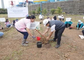 Peringatan Hari Menanam Pohon Indonesia, Srikandi PLN Tanam 1.100 Pohon di Asam Asam