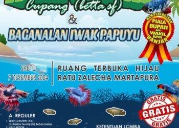 Penghobi Ikan Cupang dan Pupuyu Bisa Ikuti Lomba Pada Tanggal 7 Desember 2024