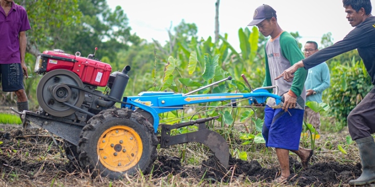 Efesien & Efektif, Petani LA Banjarbaru Beralih Gunakan Traktor