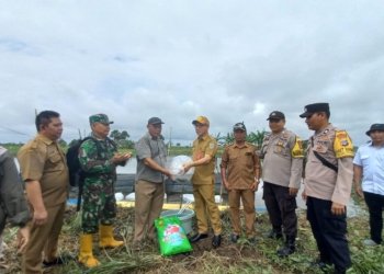 DKPP Kabupaten Banjar Ajarkan Pembesaran Ikan Betok di Munggu Raya