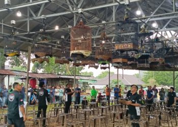Lomba Burung Piala Wali Kota & Ketua DPRD, Gusti Rizky: Jadikan Agenda Tahunan